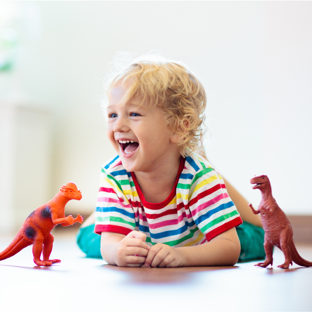 Learn about the Dublin Zoo toy case, toy safety tips, and how HOMS Assist can help with personal injury claims in Ireland. Stay informed.