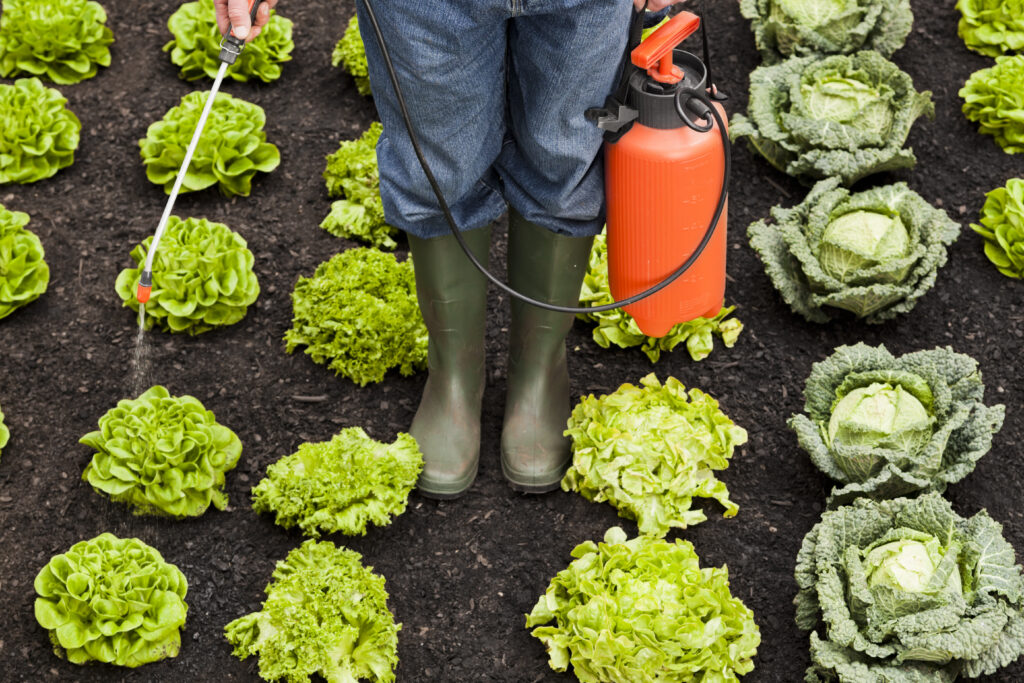 New research links workplace pesticide exposure with increased ALS risk. Learn what the findings may mean for exposed workers in Ireland.